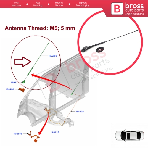 Roof Aerial Antenna Whip Rod Mount Base M5 5 mm for Ford Transit Custom Tourneo Connect Fiesta MK6 B Max EcoSport 9T1T18828AA
